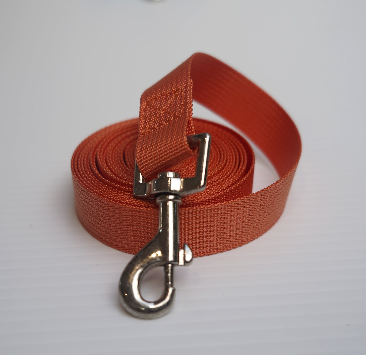Shogundog Obedience, Recall and Training Lead