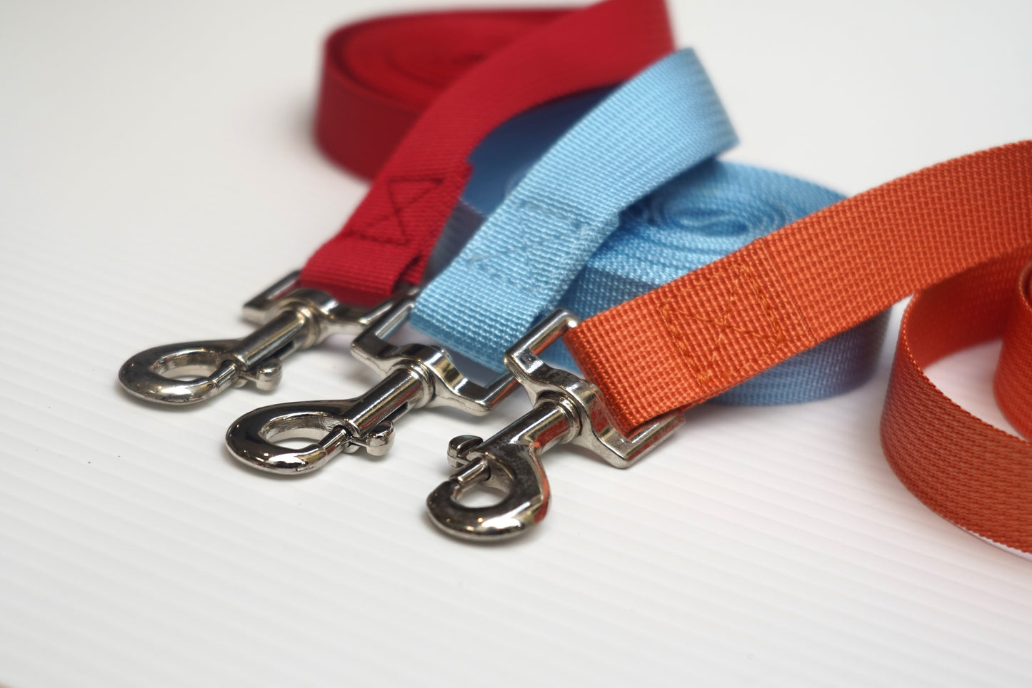 Shogundog Obedience, Recall and Training Lead