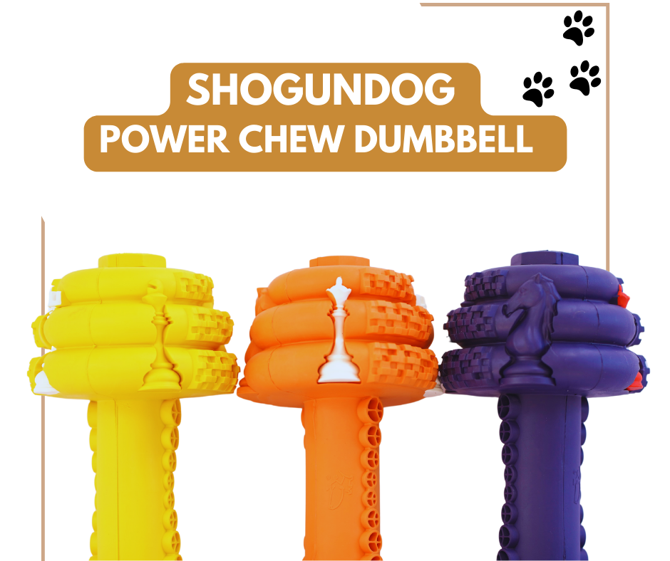 Shogundog Power-Chew Dumbbell