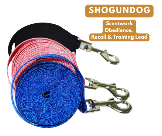 Shogundog Obedience, Recall and Training Lead