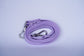 Shogundog Essential Leash