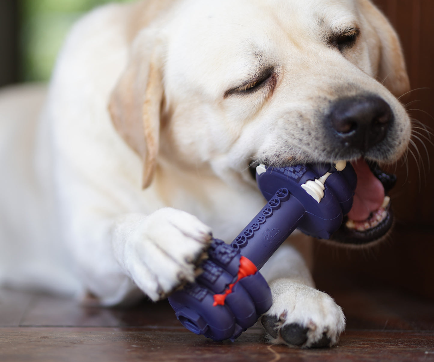 Shogundog Power-Chew Dumbbell