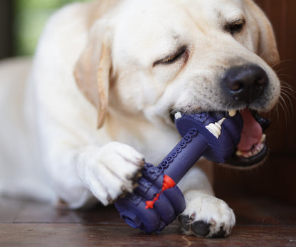 Shogundog Power-Chew Dumbbell