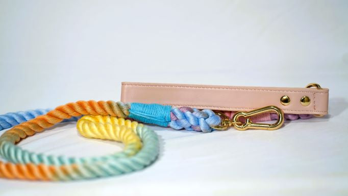 The Cotton Candy Shogundog Leash