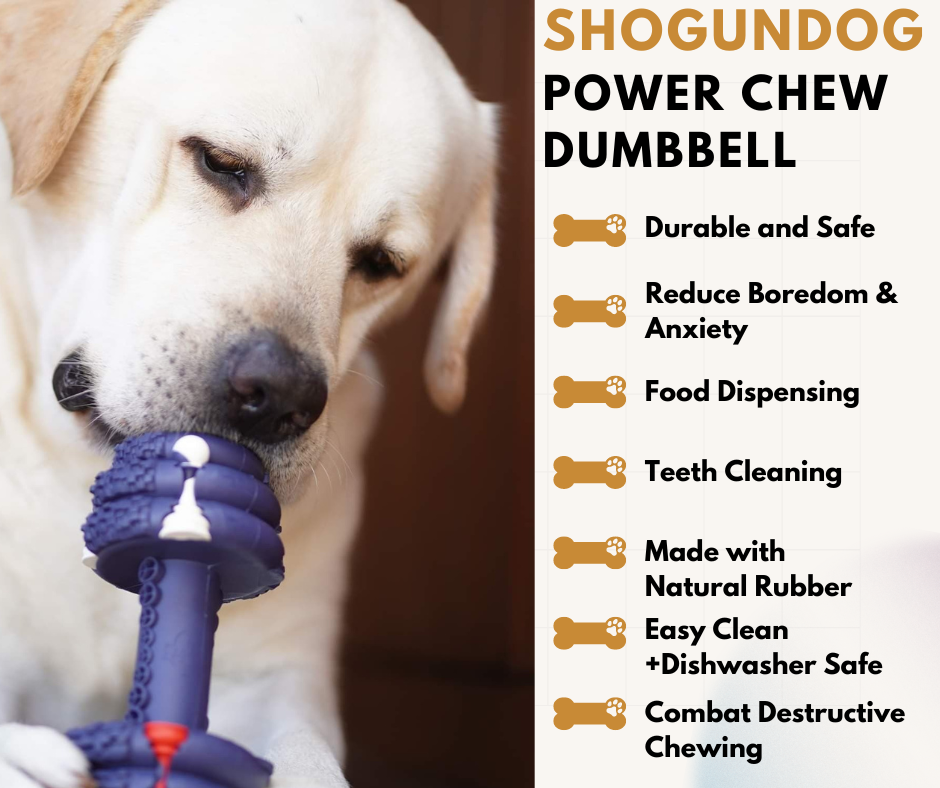 Shogundog Power-Chew Dumbbell