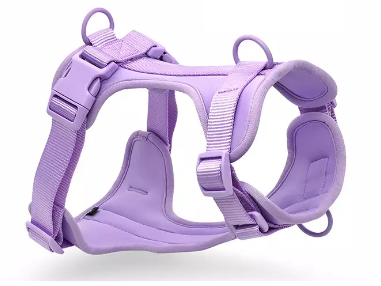 Shogundog Essential Harness